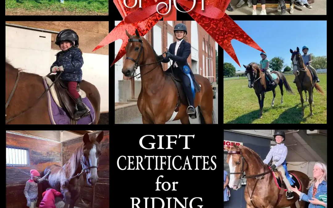 It’s the perfect time to learn to ride!